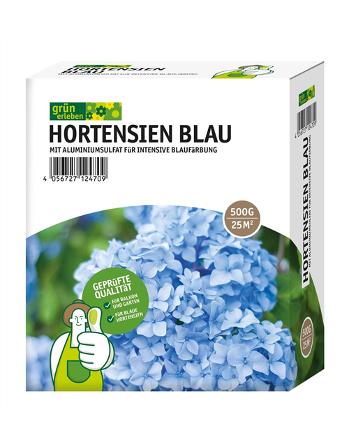 Hortensien Blau