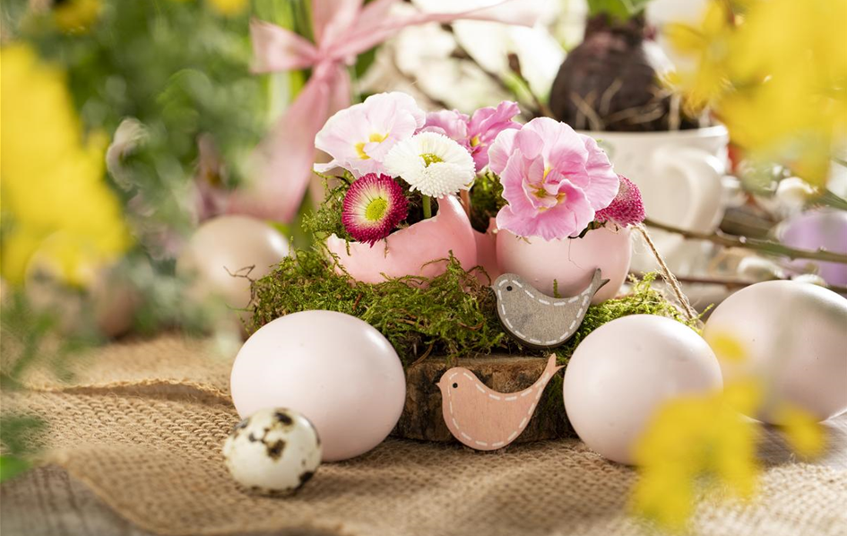 Osterambiente mit Bellis Osterambiente mit Bellis